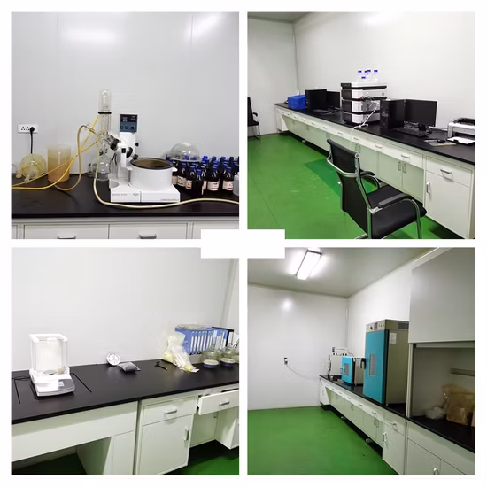 High Quality HACCP Lyophilized Royal Jelly Powder with Best Price